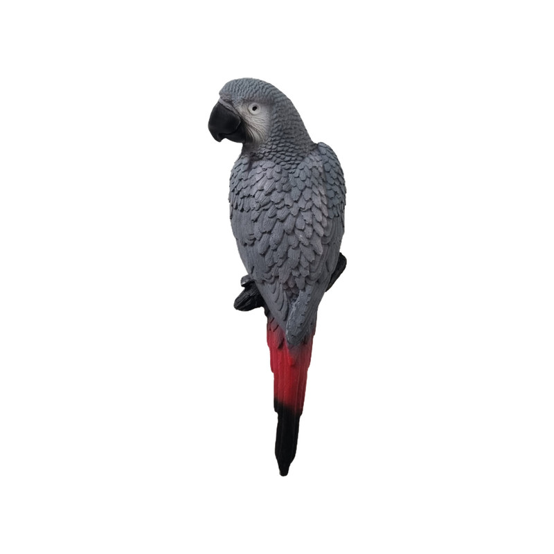 مجسمه مدل طوطی دیواری طرح کاسکو