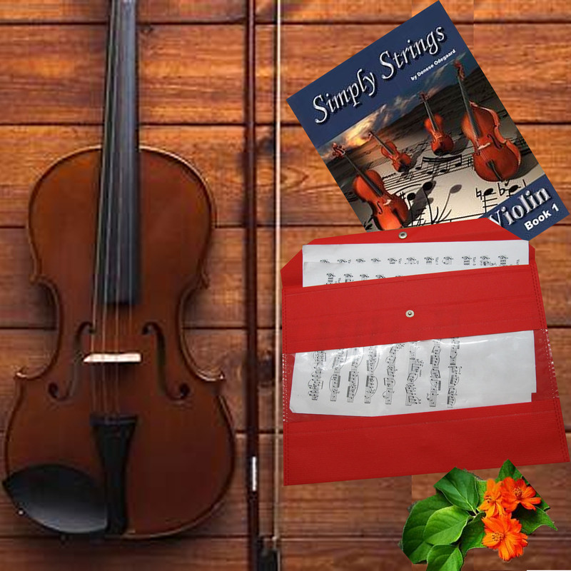 پوشه دکمه دار تیما مدل طلق دار