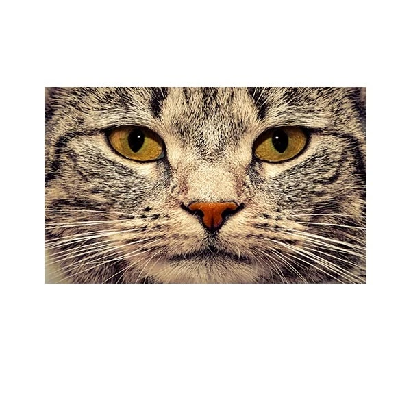   پادری مدل حیوانات کد HSHMA0038 سایز 76x46 سانتی متر