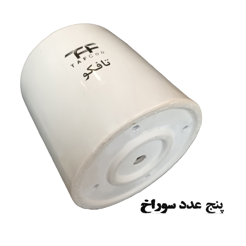 گل طبیعی فیلودندرون تافکو مدل گوش گرگی بالا رونده کد 2039