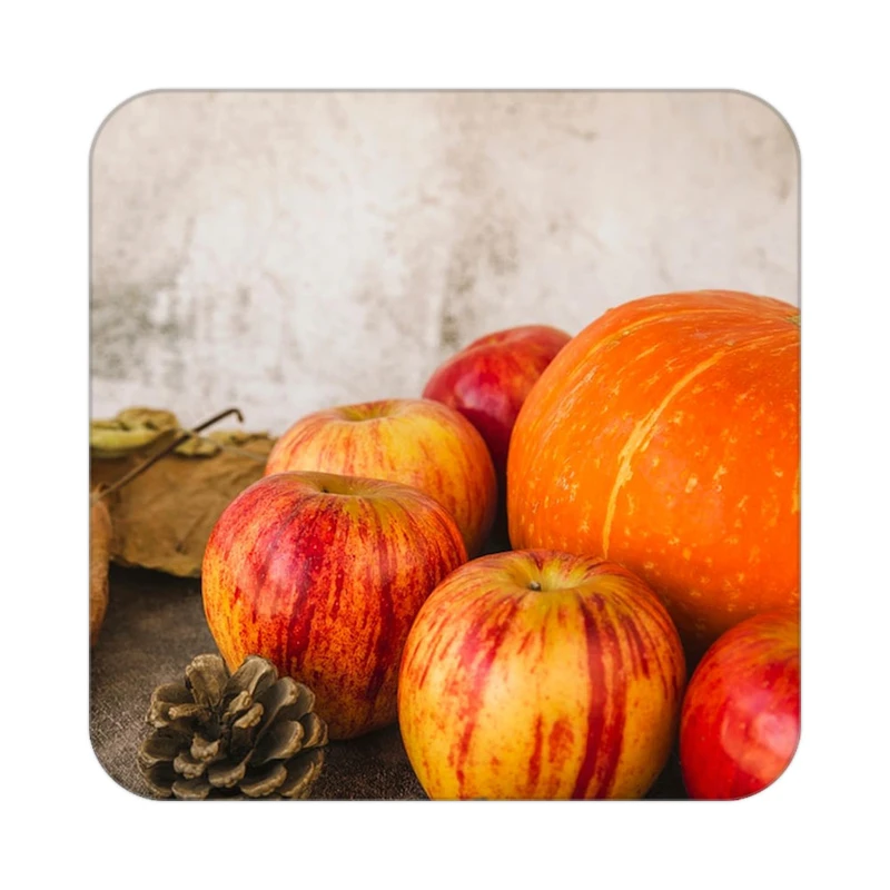 زیر لیوانی کاکتی طرح میوه مدل mp19882