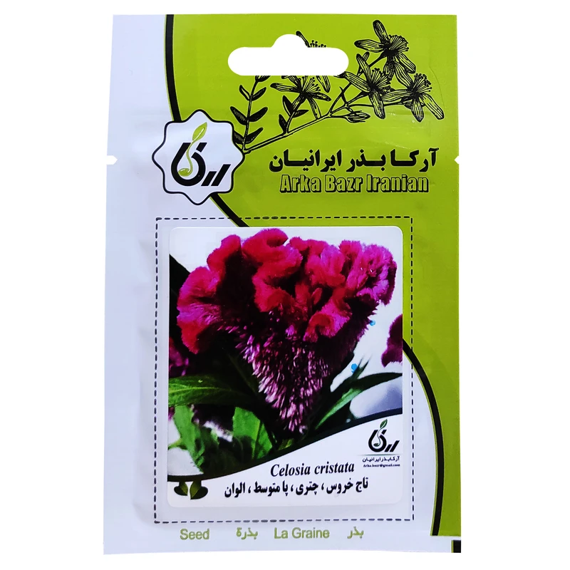 	 بذر گل تاج خروس چتری پامتوسط الوان آرکا بذر ایرانیان کد ARK-081
