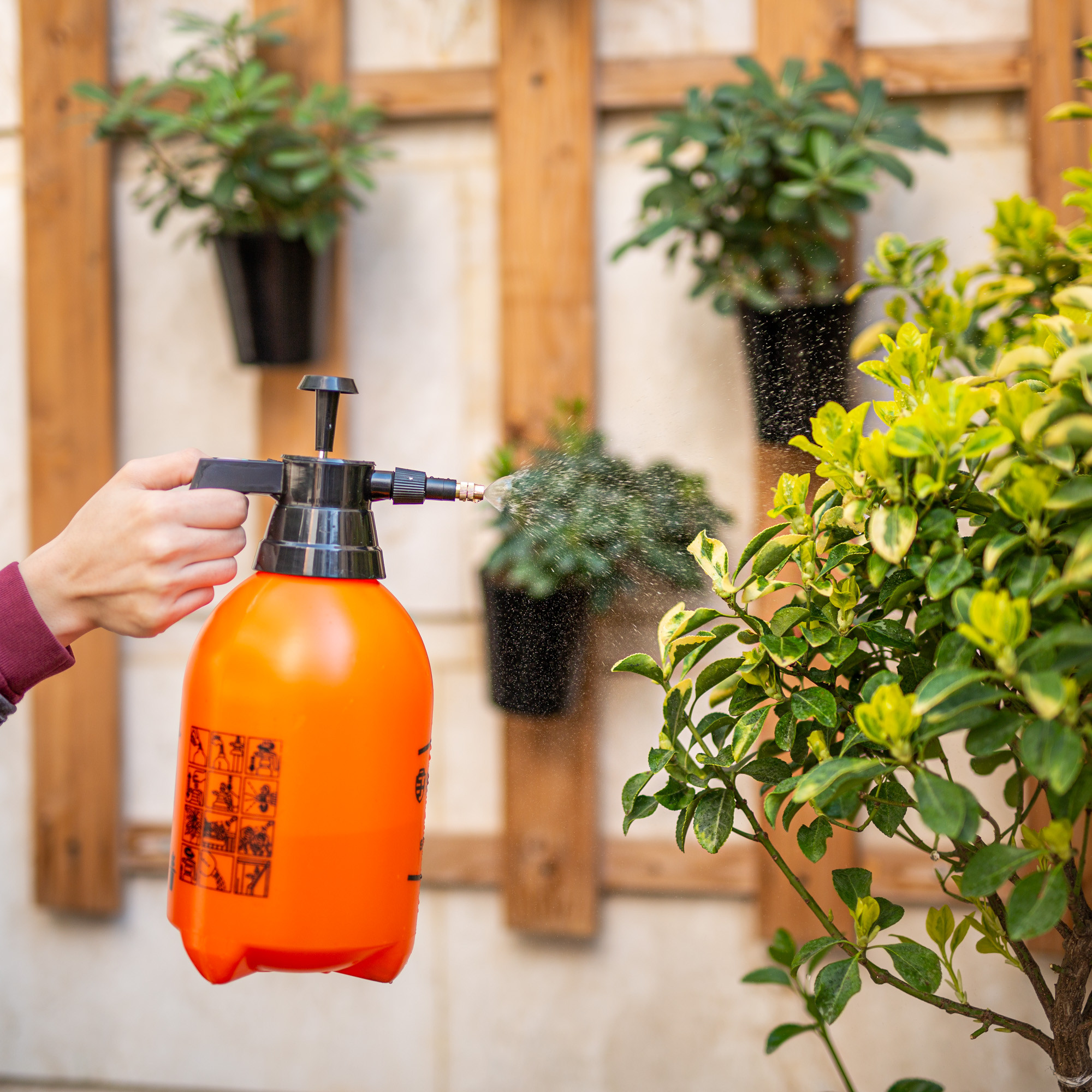 سمپاش شیلدر مدل SH-2525 گنجایش 2.5 لیتر