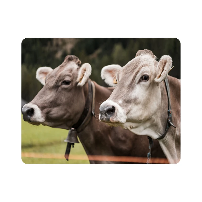 ماوس پد اطلس آبی طرح حیوان گاو مدل T1915