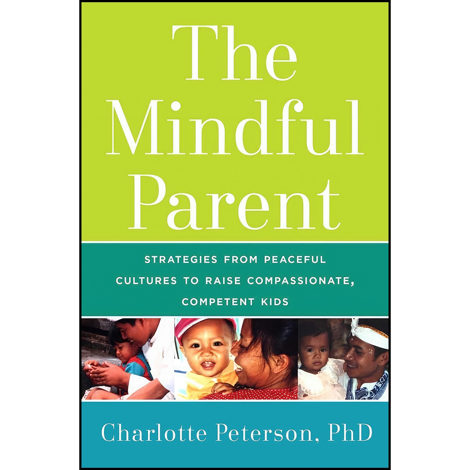 کتاب The Mindful Parent اثر Charlotte Peterson انتشارات Skyhorse