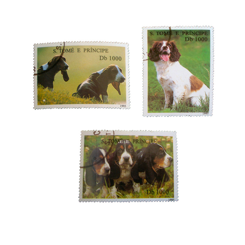 تمبر یادگاری طرح طبیعت مدل سگ کد dog-490 مجموعه 3 عددی