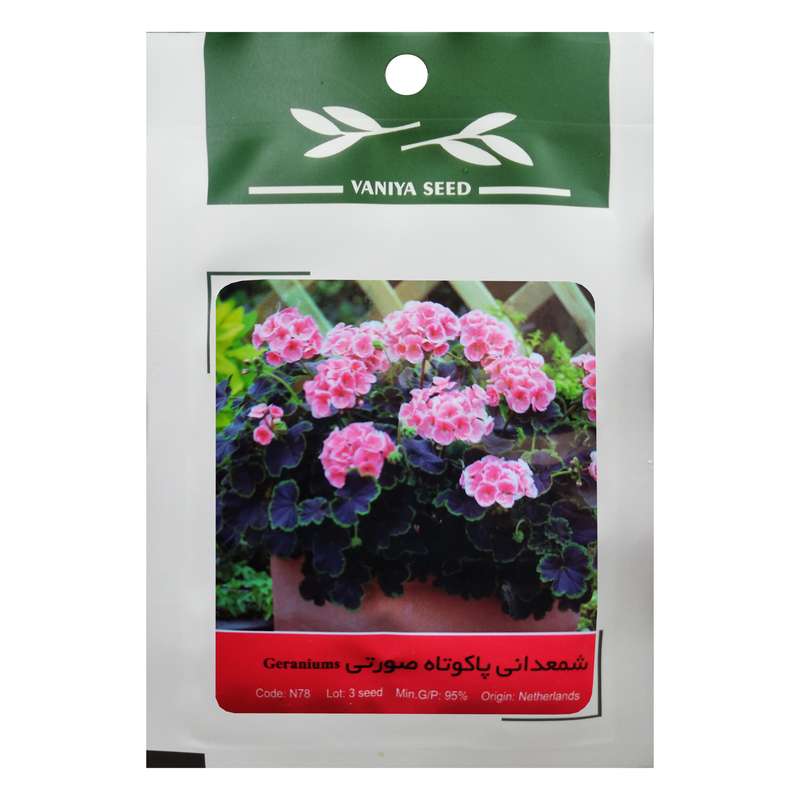 بذر گل شمعدانی پاکوتاه صورتی وانیا سید مدل N78