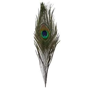 مجسمه مدل پر طاووس