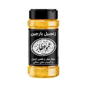 ادویه زنجبیل بارجین - 85 گرم