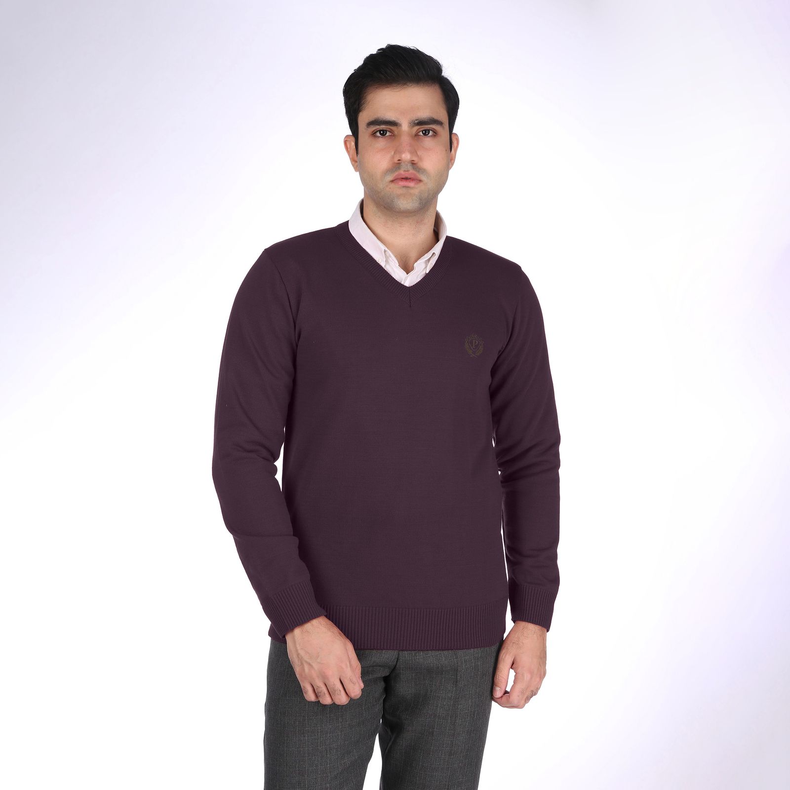 پلیور مردانه تریکو پاییزان کد P700 رنگ بنفش بادمجانی -  - 2