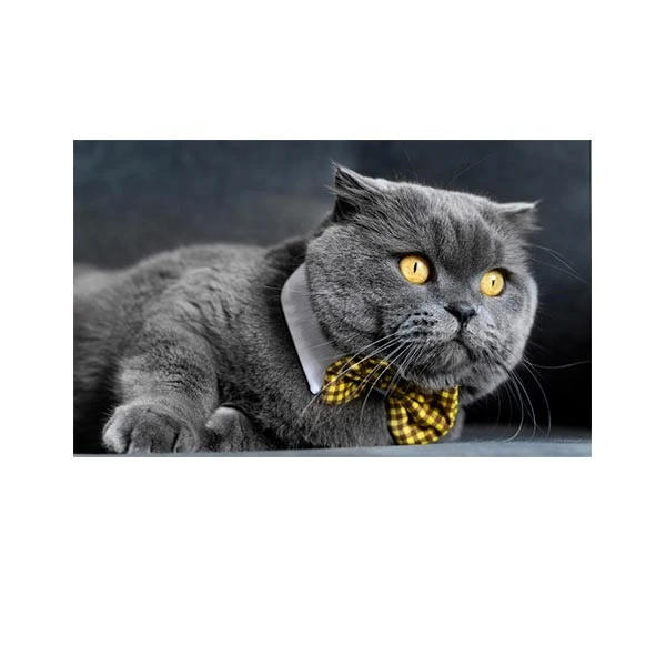   پادری مدل حیوانات کد HSHMA0037 سایز 76x46 سانتی متر