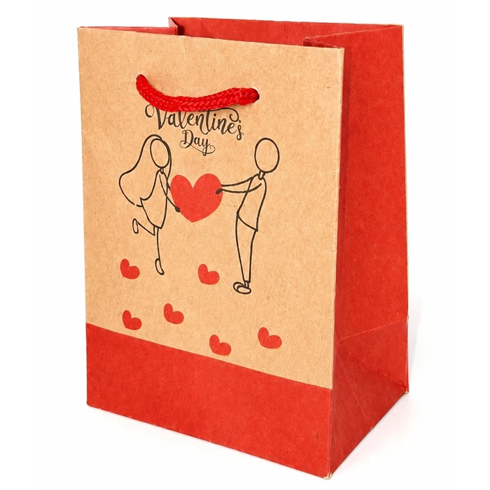 ساک هدیه مدل کاغذی گرافت