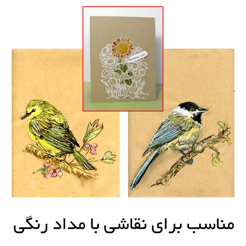 کاغذ کرافت مستر راد کد 1436 بسته 50 عددی کاغذ کرافت مستر راد کد 1436 بسته 50 عددی