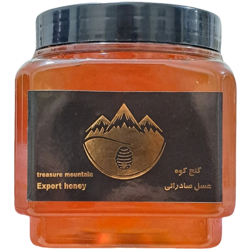 عسل طبیعی وحشی گنج کوه - یک کیلوگرم