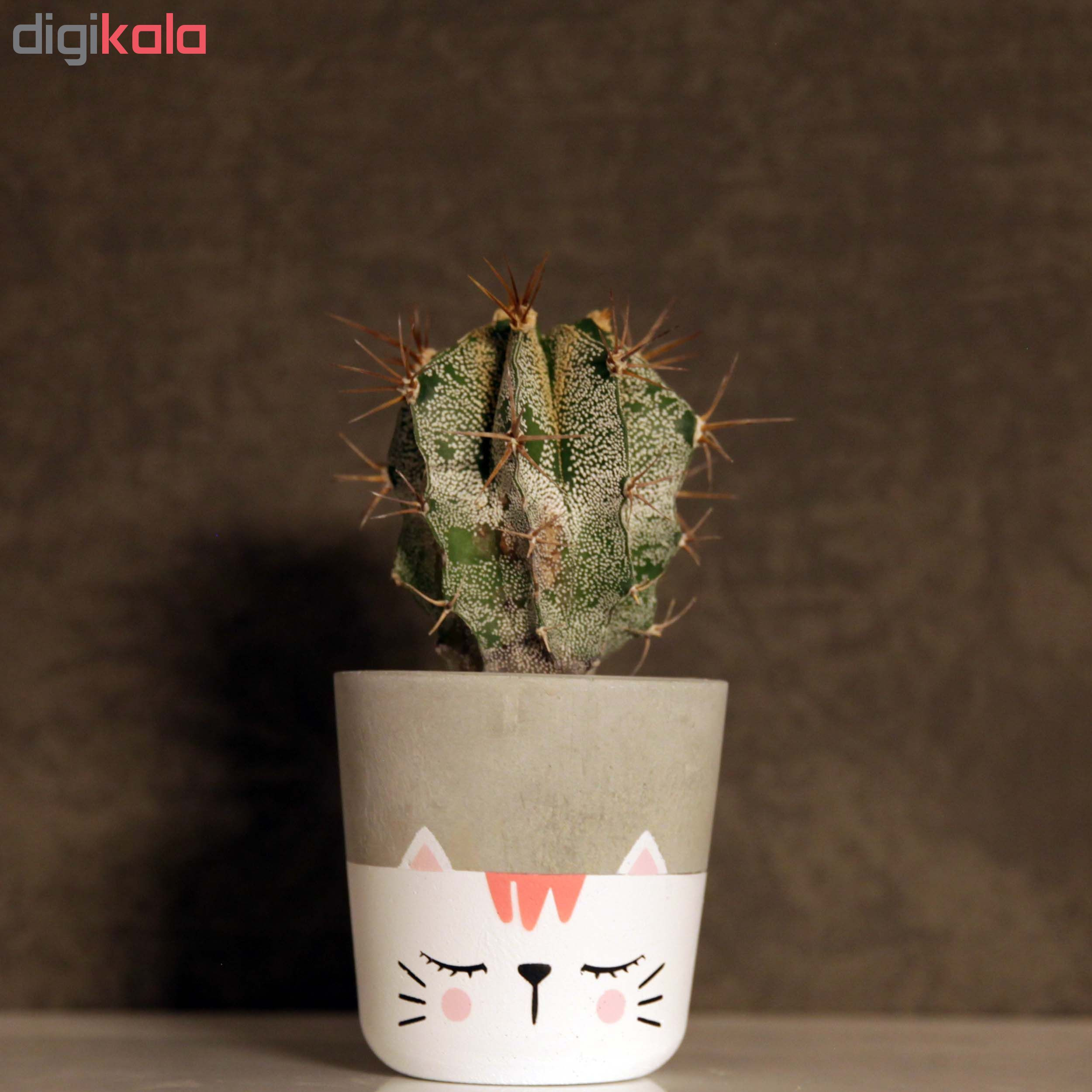 گلدان زیو استودیو مدل ALCA-1