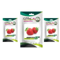  بذر توت فرنگی گلبرگ پامچال کد GPF-195 مجموعه 3 عددی