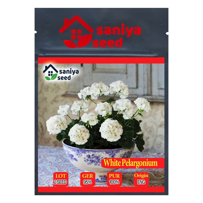 بذر گل شمعدانی سفید سانیا سید مدل SH2