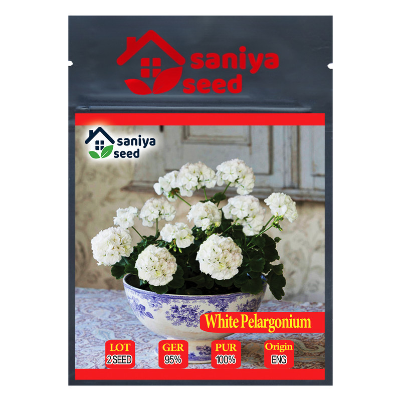 بذر گل شمعدانی سفید سانیا سید مدل SH2