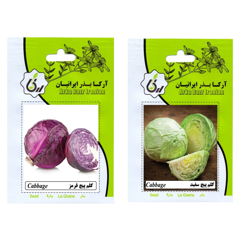 بذر کلم پیچ قرمز و کلم پیچ سفید آرکا بذر ایرانیان کد ARK-A-ARK-02 وزن 25 گرم مجموعه 2 عددی