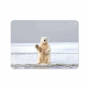برچسب پوششی ماهوت مدل Polar bear مناسب برای تبلت اپل iPad Pro 11 2018 A1979