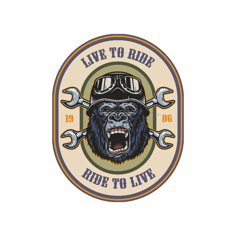 برچسب بدنه خودرو رایسان کد st085