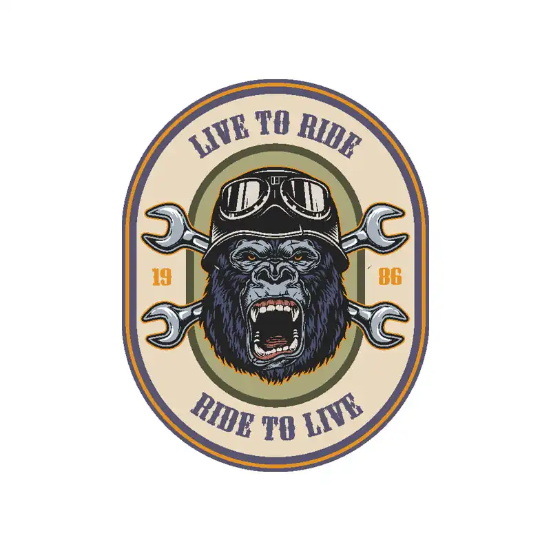 برچسب بدنه خودرو رایسان کد st085