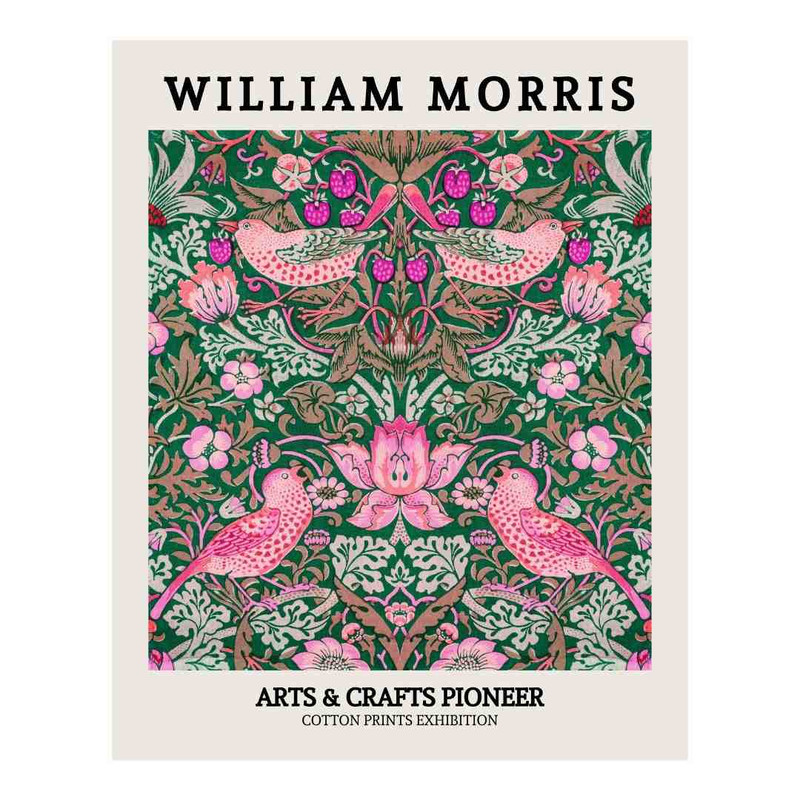 پوستر مدل  سارق توت فرنگی 