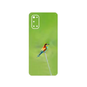 MAHOOT European bee-eater Cover Sticker for Realme 7 Pro
