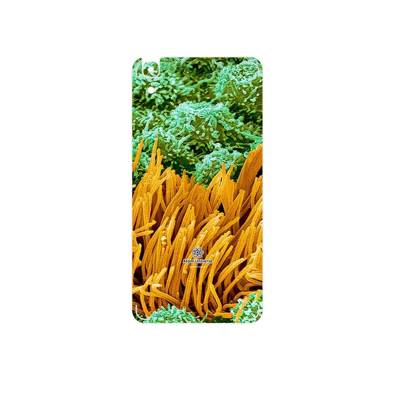 برچسب پوششی ماهوت مدل Atom Universe 6 مناسب برای گوشی موبایل هوآوی Y6 2015