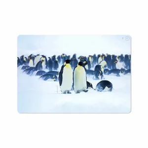 MAHOOT Penguin Cover Sticker for Apple iPad Pro 10.5 2017 A1701