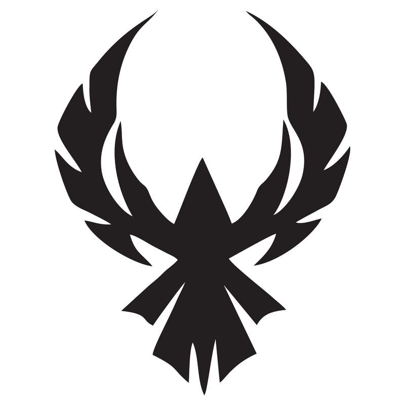 برچسب خودرو طرح پرنده