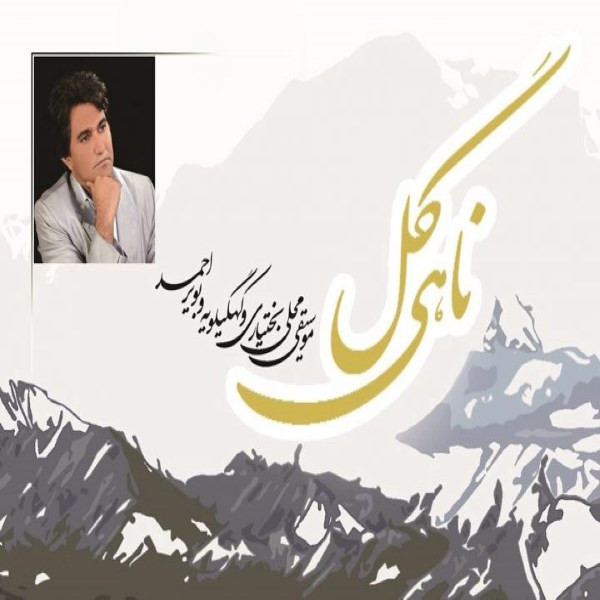 آلبوم موسیقی ناهی گل اثر فردین موسوی