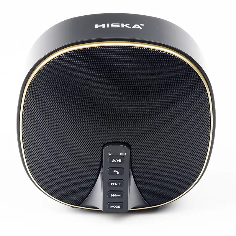 اسپیکر بلوتوثی قابل حمل هیسکا مدل B46