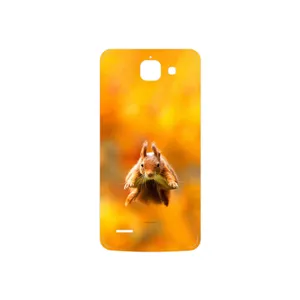 MAHOOT Squirrel Cover Sticker for Huawei Ascend G730
