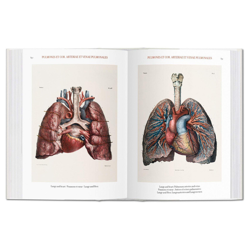 کتاب Bourgery. Atlas of Human Anatomy and Surgery اثر Jean-Marie Le Minor
انتشارات  تاشن