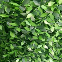 دیوارپوش مدل فنس برگی سایز 1x5 متر