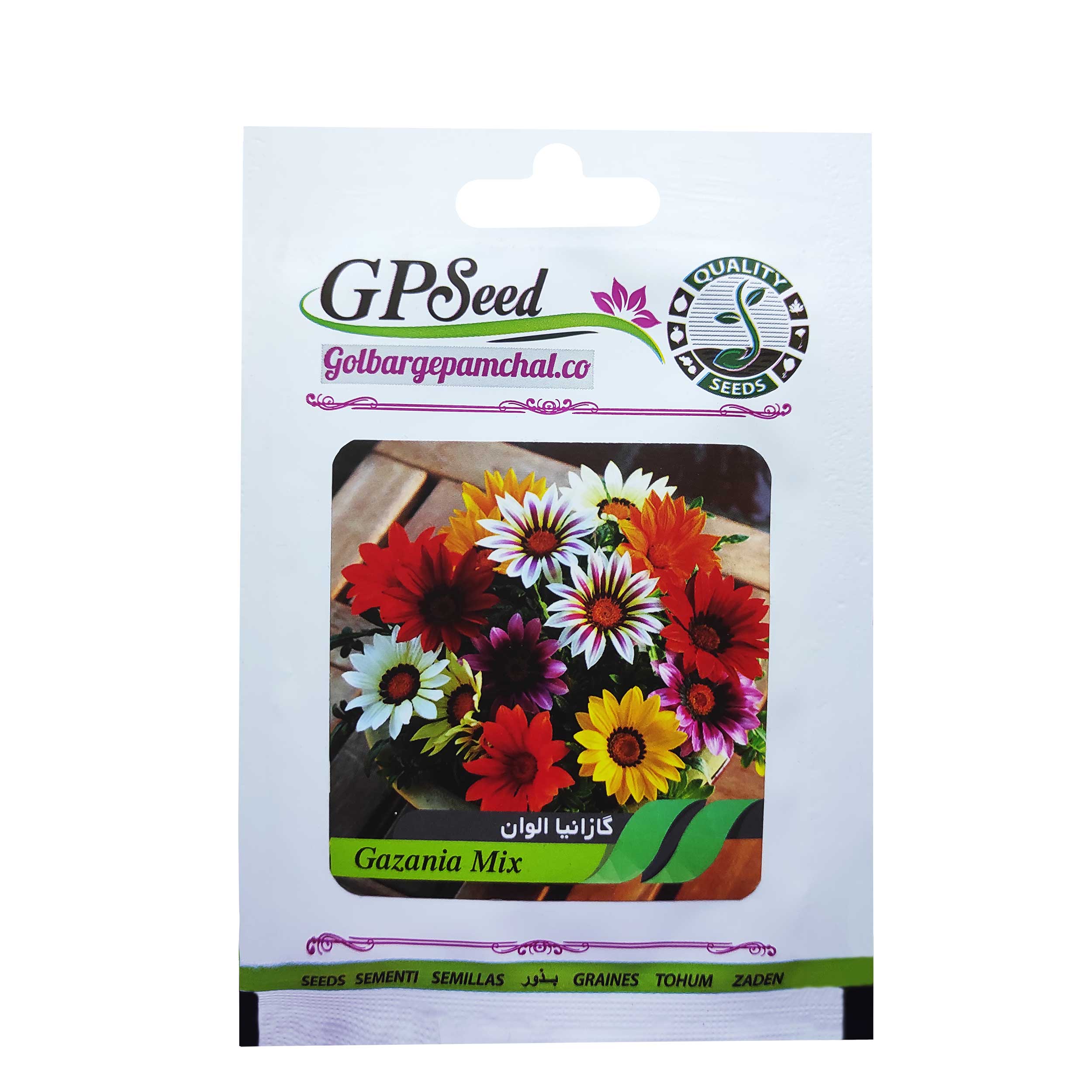 بذر گل گازانیا پاکوتاه الوان گلبرگ پامچال کد GPF-072