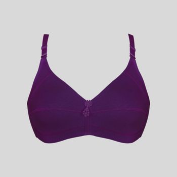 سوتین زنانه پانیذ کد 3171-8