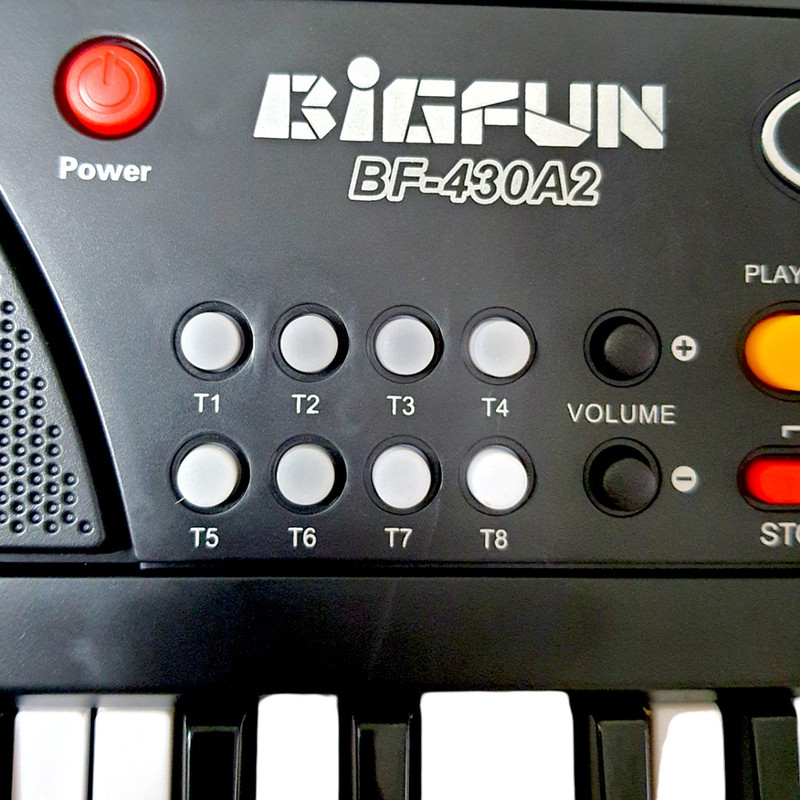 اسباب بازی ارگ بیگفان مدل BF-430A2