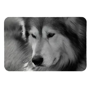 پادری طرح گرگ کد 6189 سایز 50 × 70 سانتی متر