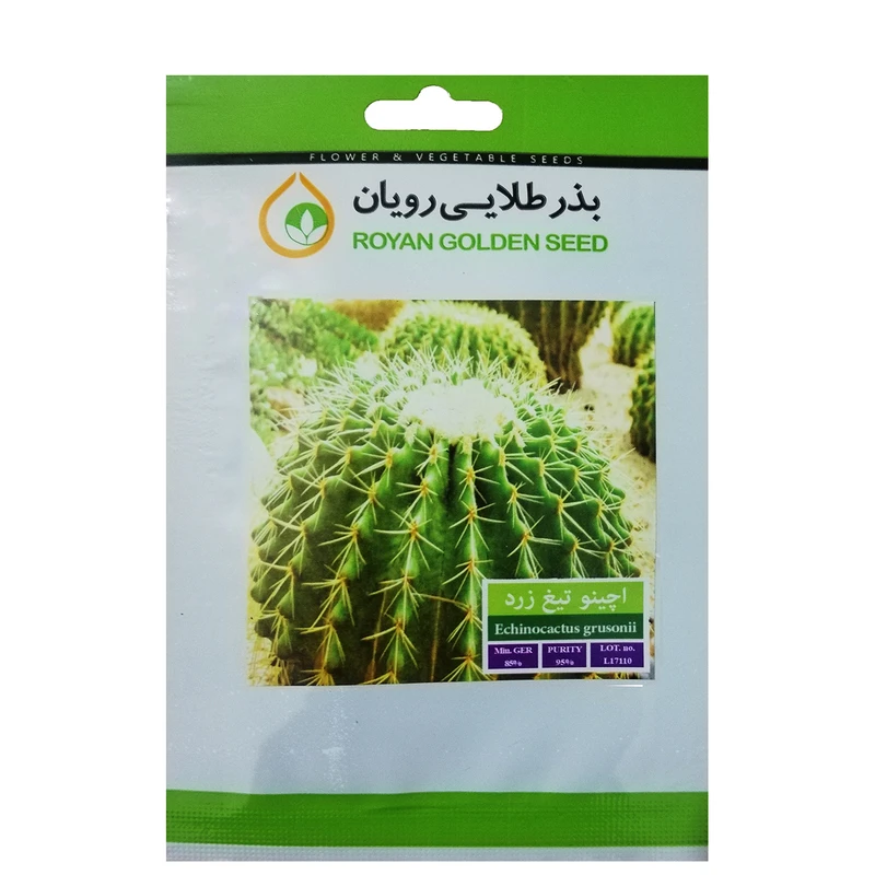 بذر کاکتوس اچینو تیغ زرد بذر طلایی کد BZT-119