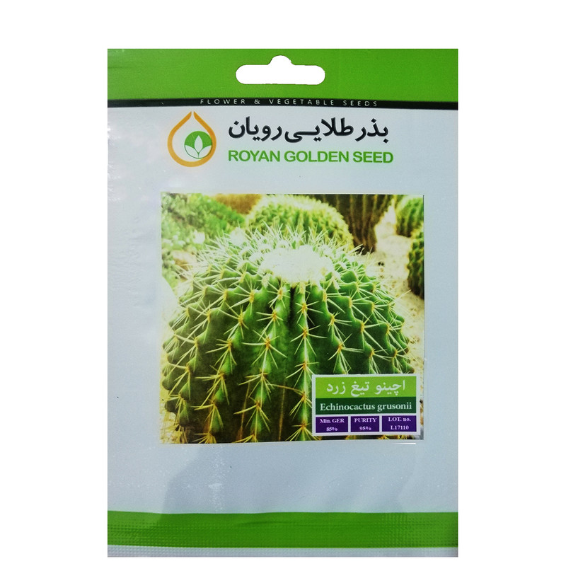 بذر کاکتوس اچینو تیغ زرد بذر طلایی کد BZT-119
