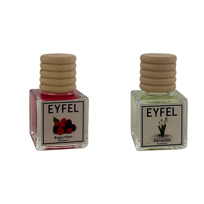 خوشبوکننده خودرو مدل شاتوت و گل یخ حجم 10 میلی لیتر مجموعه 2 عددی