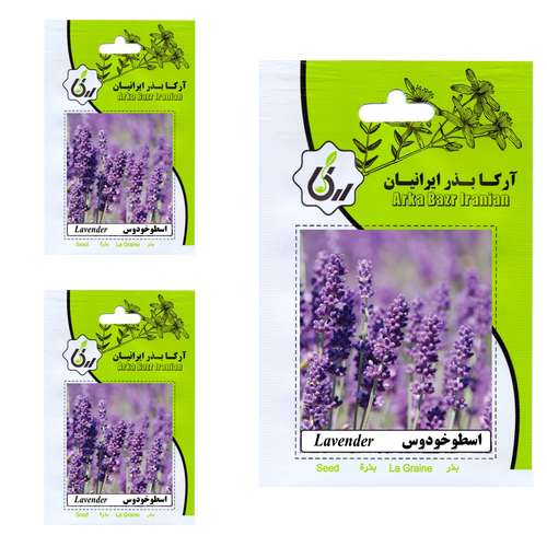 بذر گیاه دارویی اسطوخودوس آرکا بذر ایرانیان کد 40-ARK مجموعه 3 عددی