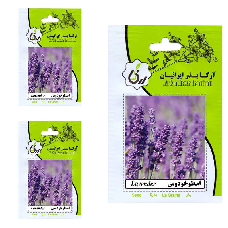 بذر گیاه دارویی اسطوخودوس آرکا بذر ایرانیان کد 40-ARK مجموعه 3 عددی