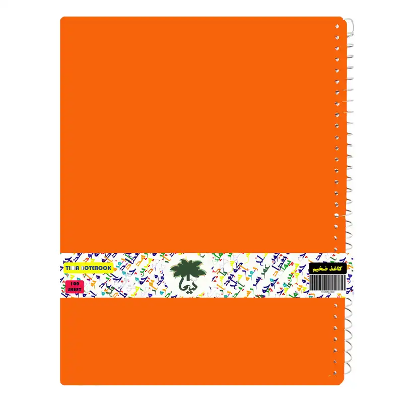 دفتر نقاشی 100 برگ تیما مدل Diana