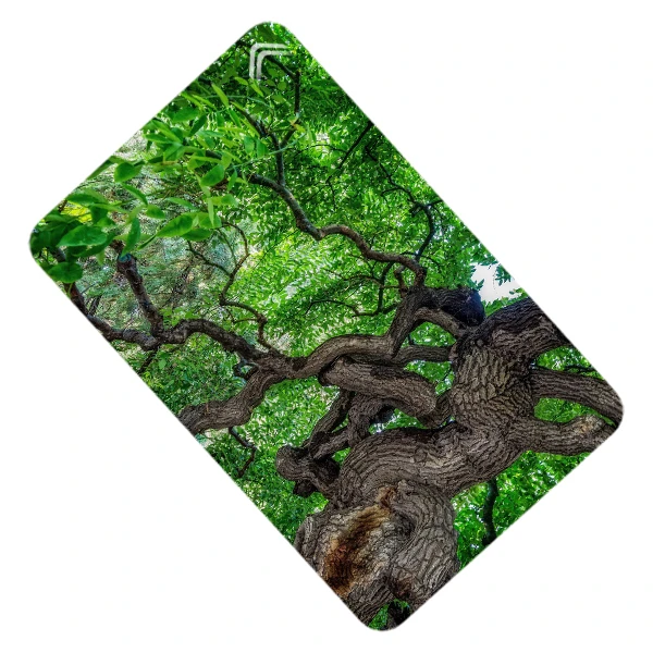 استیکر کارت طرح طبیعت مدل CAC342-K-G1-141