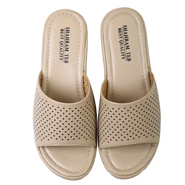 دمپایی زنانه شهرام طب مدل 1105