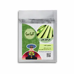 بذر خیار چنبر گیامیا مدل CC3022