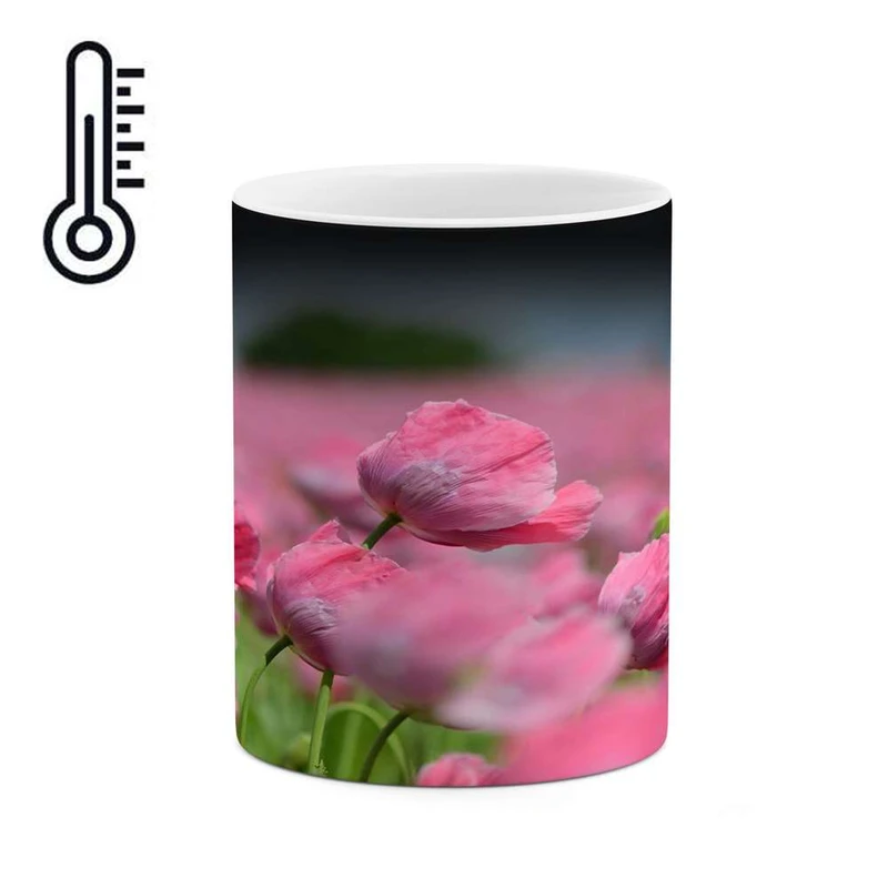 ماگ حرارتی کاکتی مدل گل کد mgh14473